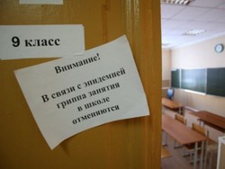 Грипп в Омской области опустился ниже эпидпорога 